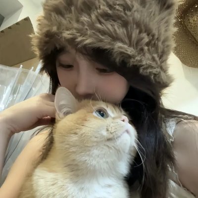 同居房客粤语