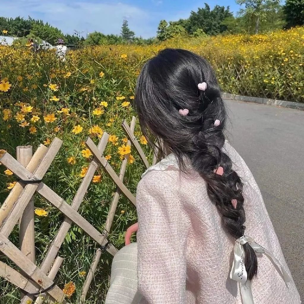 晴晚之林
